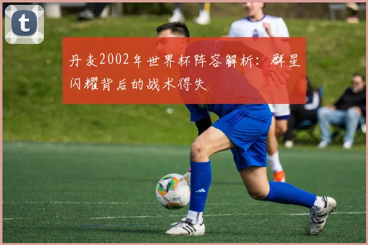 丹麦2002年世界杯阵容解析：群星闪耀背后的战术得失