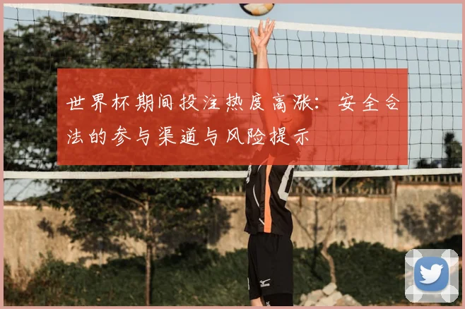 世界杯期间投注热度高涨：安全合法的参与渠道与风险提示