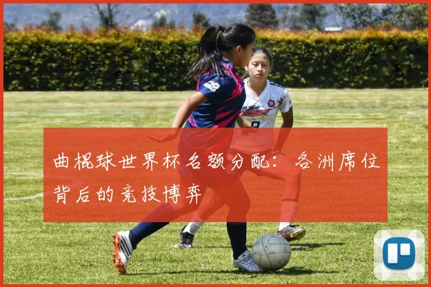 曲棍球世界杯名额分配：各洲席位背后的竞技博弈