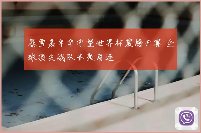 暴雪嘉年华守望世界杯震撼开赛 全球顶尖战队齐聚角逐