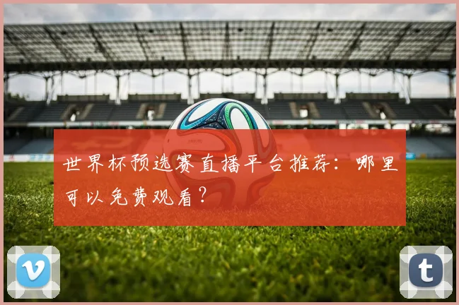 世界杯预选赛直播平台推荐：哪里可以免费观看？