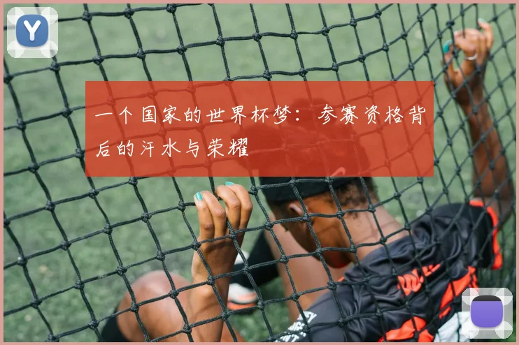 一个国家的世界杯梦：参赛资格背后的汗水与荣耀