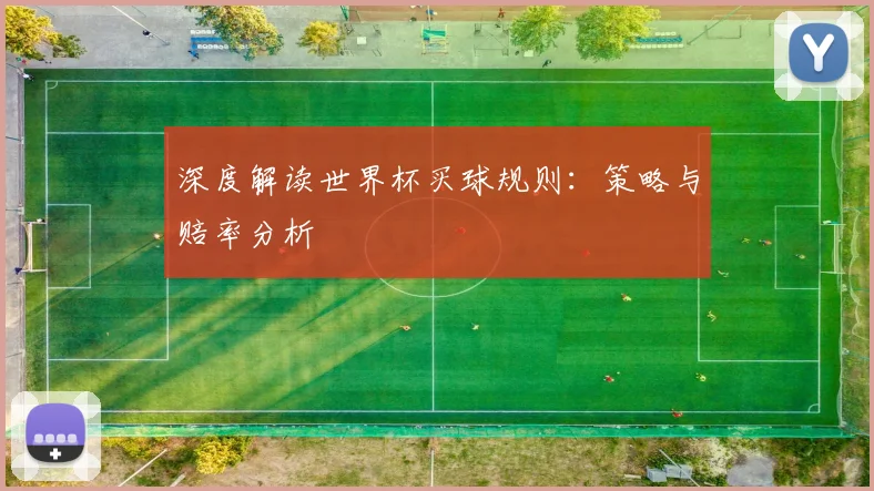 深度解读世界杯买球规则：策略与赔率分析