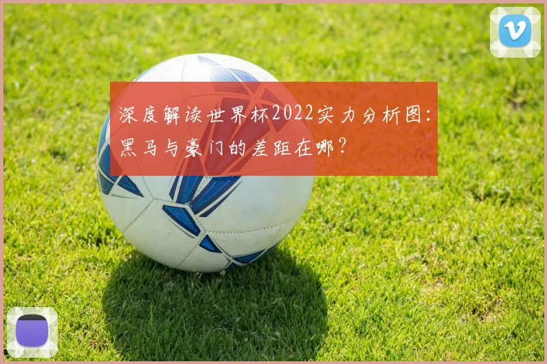 深度解读世界杯2022实力分析图：黑马与豪门的差距在哪？