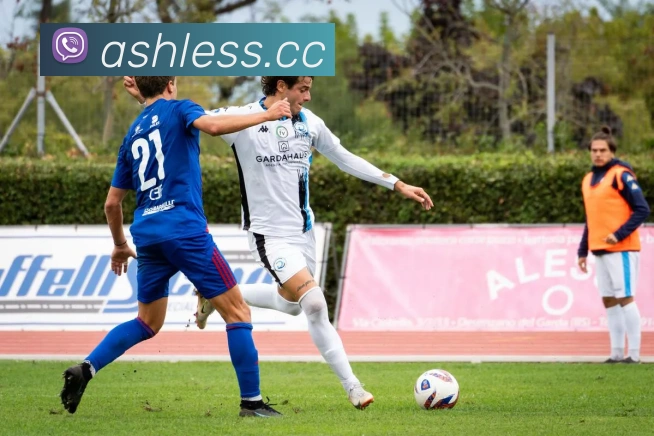 半岛网页版平台生态图