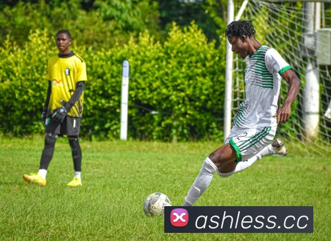 半岛网页版全站App 半岛网页版全站App